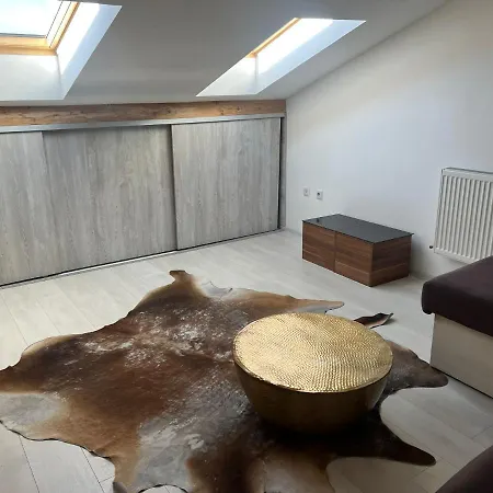 Penthouse Irina